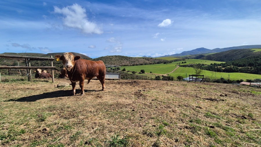 4 Bedroom Property for Sale in Mossel Bay Rural Western Cape